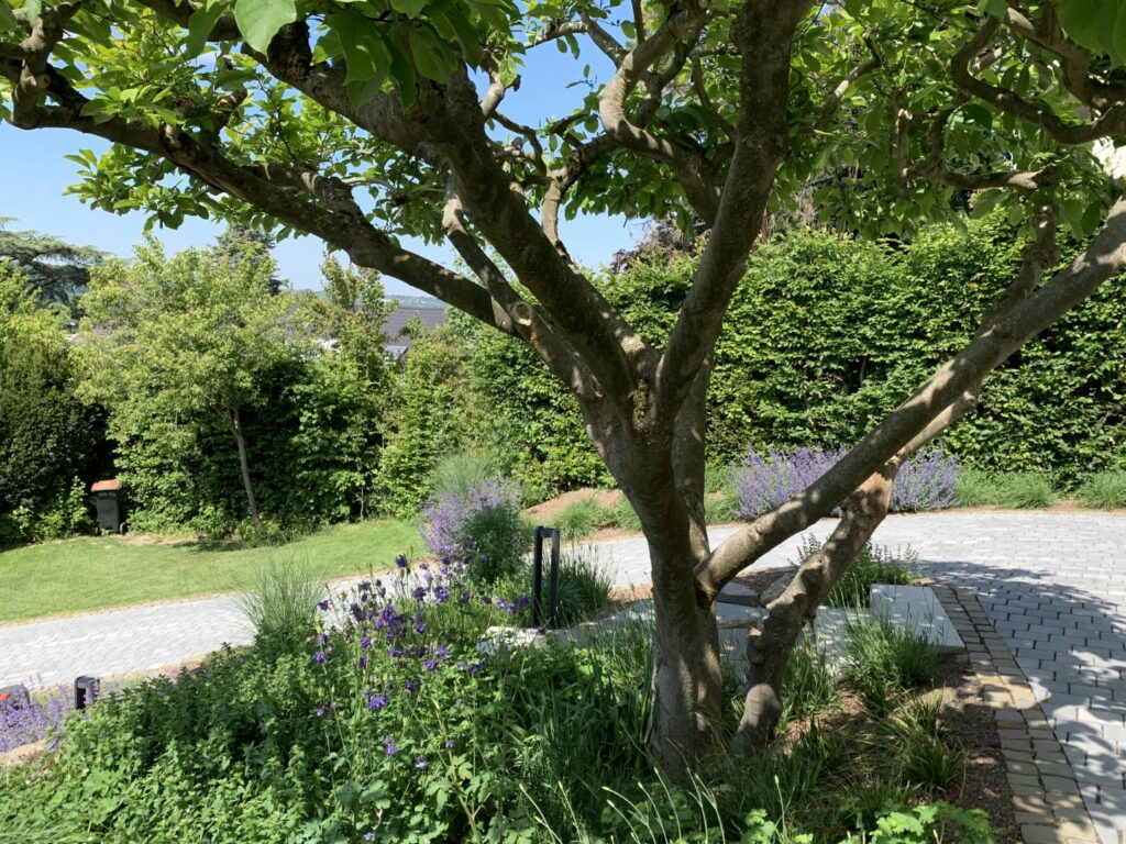 Hanggarten (10) (Groß)