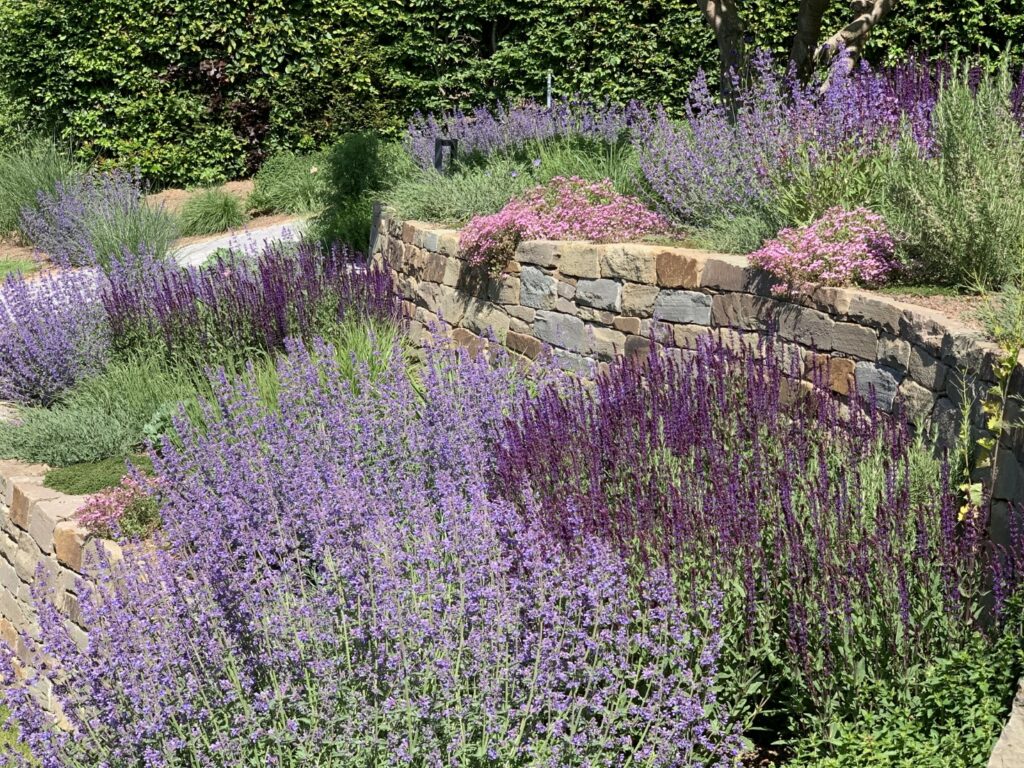 Hanggarten (12) (Groß)