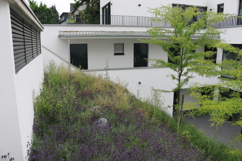 Innenhof_Wohnanlage (1) (Groß)