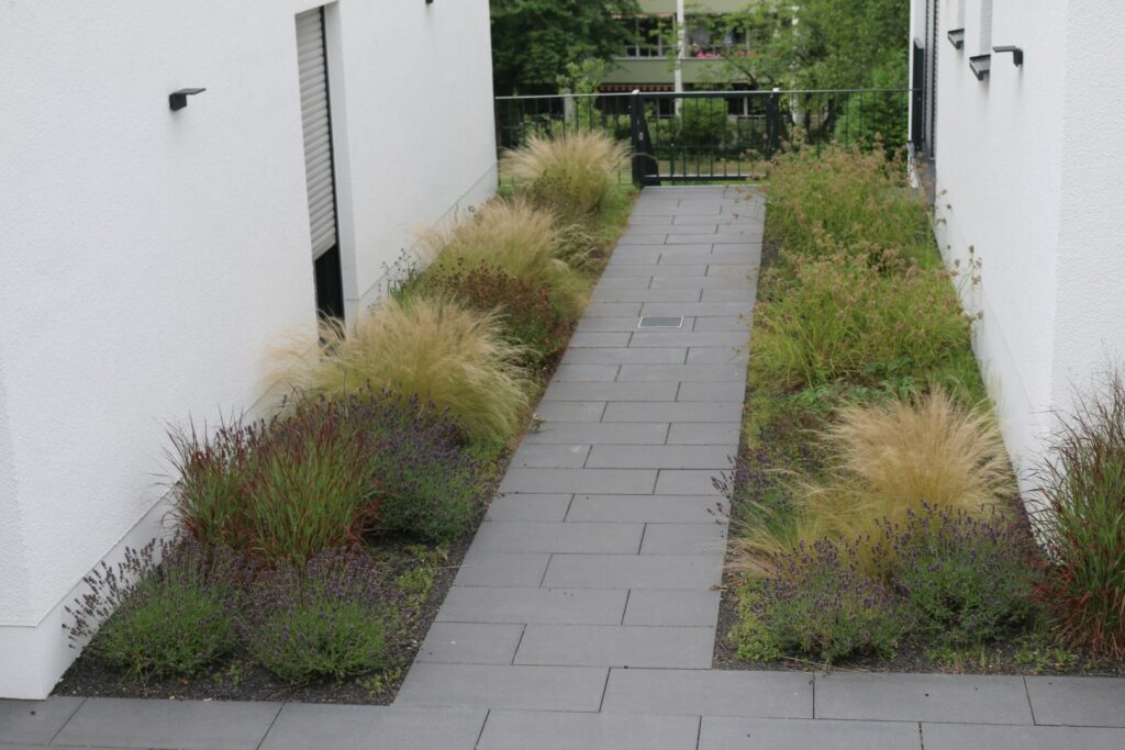 Innenhof_Wohnanlage (2) (Groß)