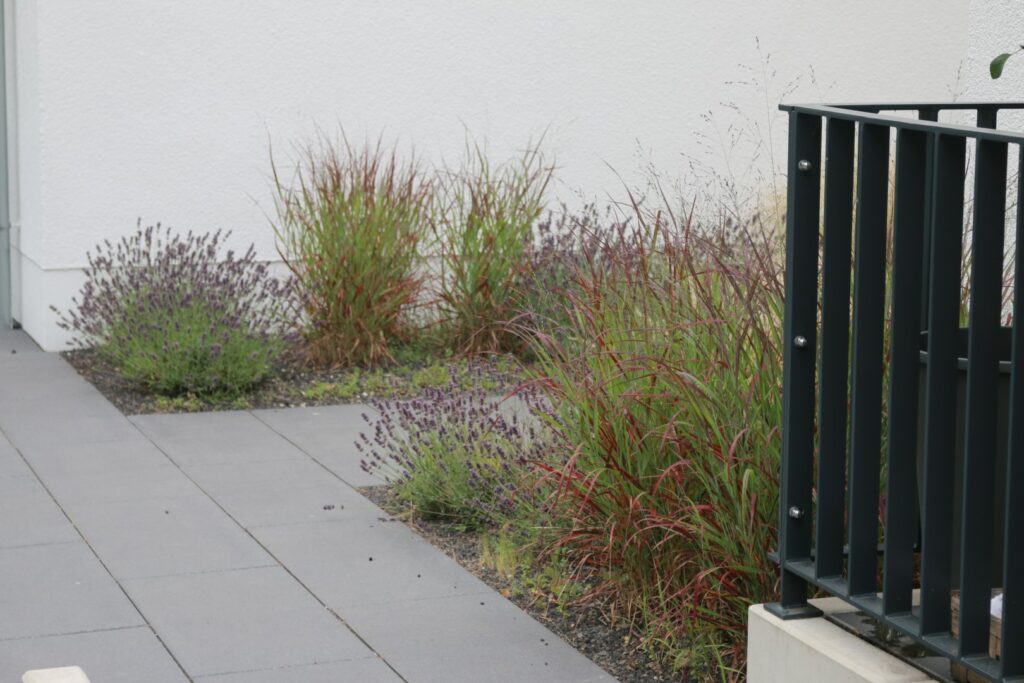 Innenhof_Wohnanlage (6) (Groß)