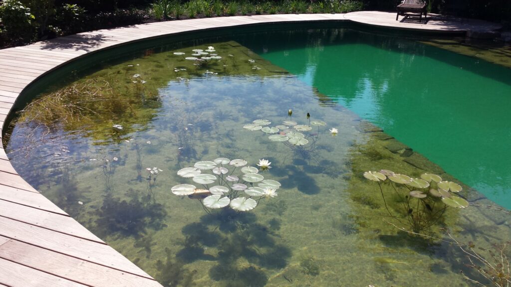 Naturpool (1) (Groß)