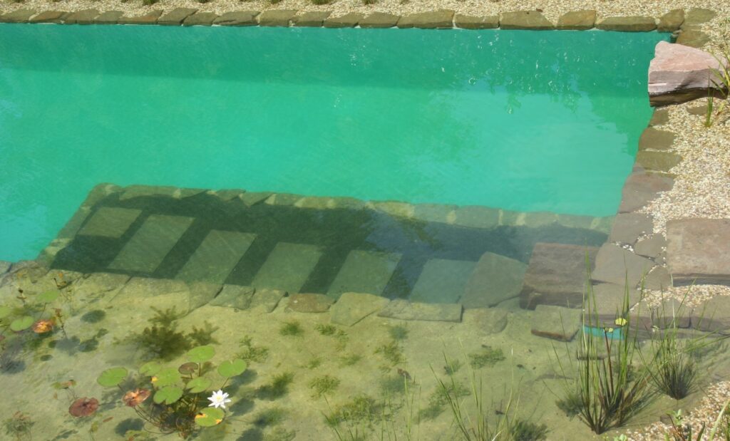 Naturpool (4) (Groß)