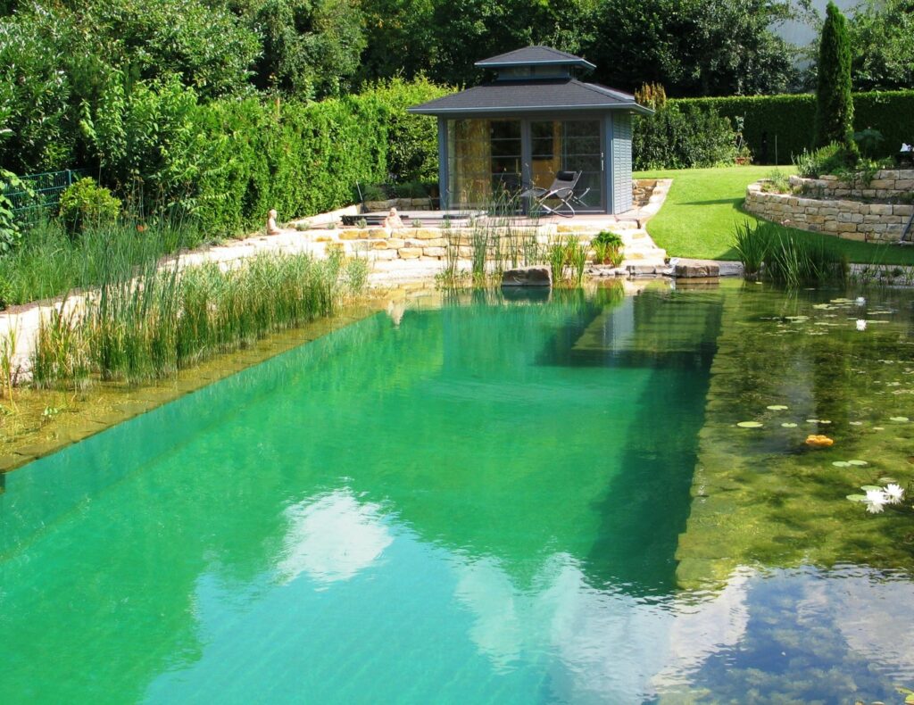 Naturpool (5) (Groß)