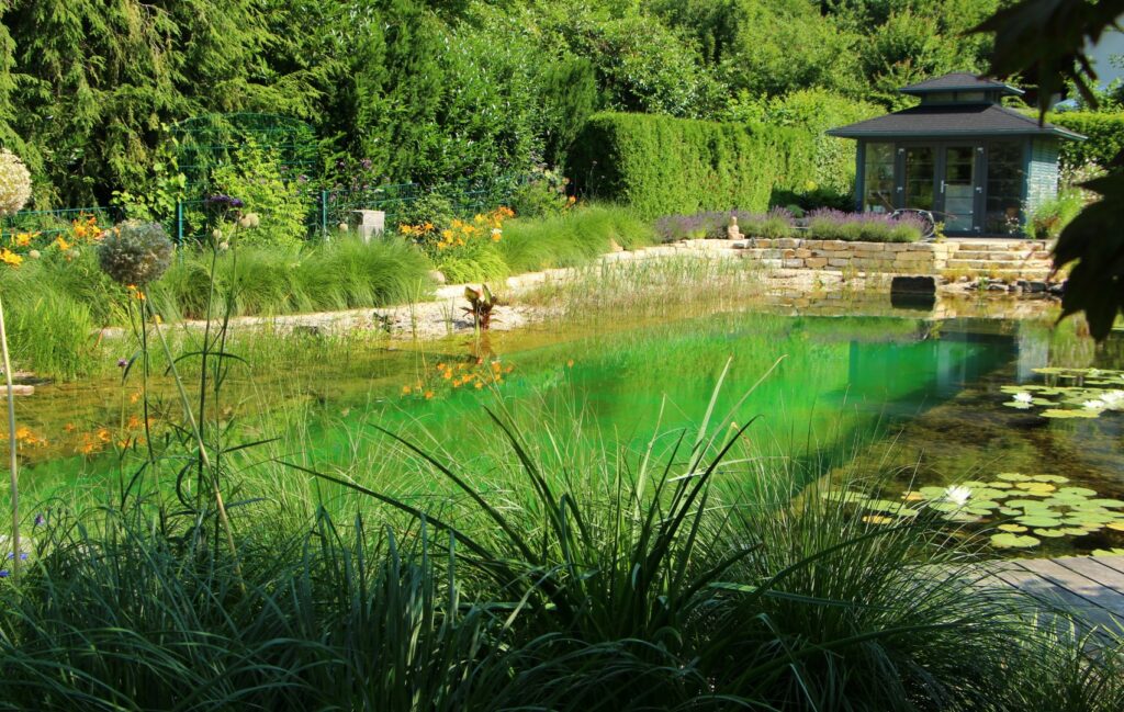 Naturpool (6) (Groß)