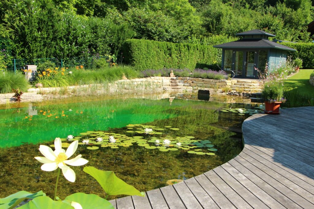 Naturpool (7) (Groß)