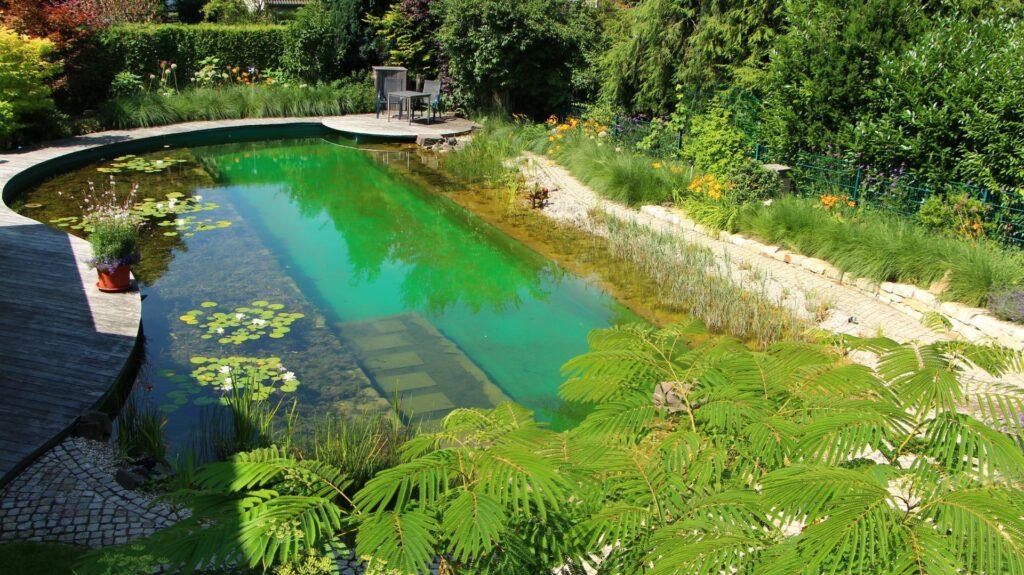 Naturpool (8) (Groß)