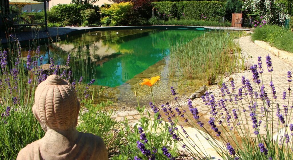 Naturpool (9) (Groß)